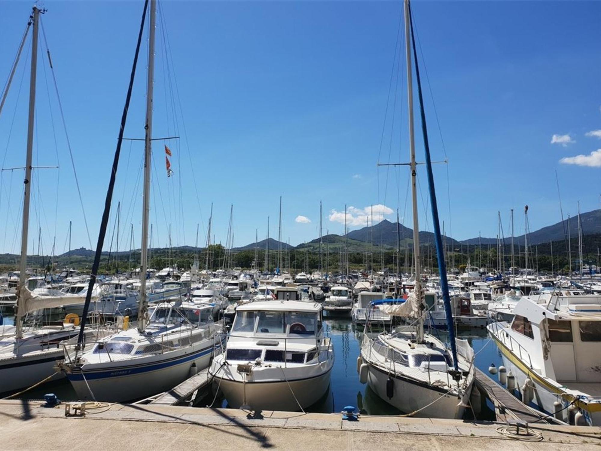 Appartement Climatise A Argeles-Sur-Mer Avec Parking - 4 Couchages - Fr-1-388-52 Eksteriør bilde